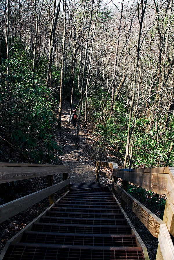Canyon Steps None
