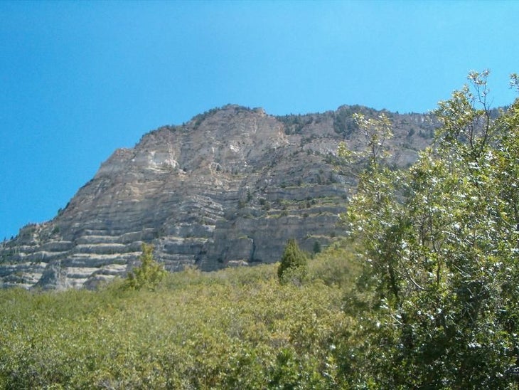 Canyon Walls None