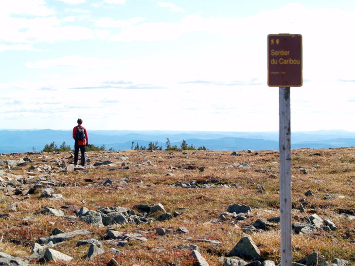 Caribou Trail Overlook None
