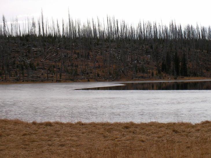 Cascade Lake None