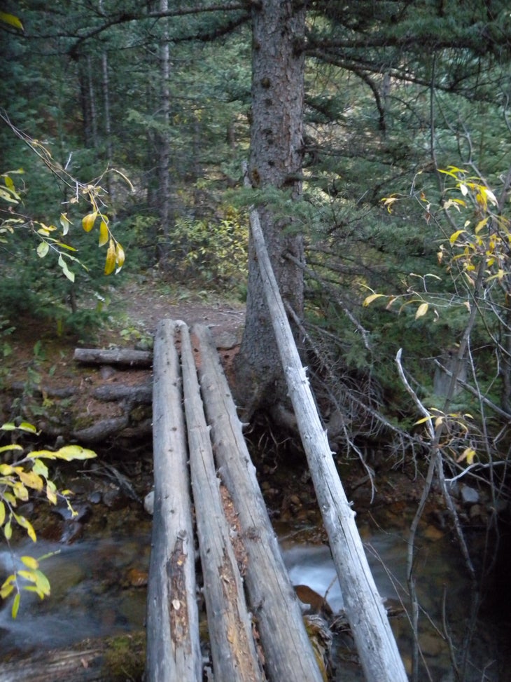 Cataract Creek Bridge None
