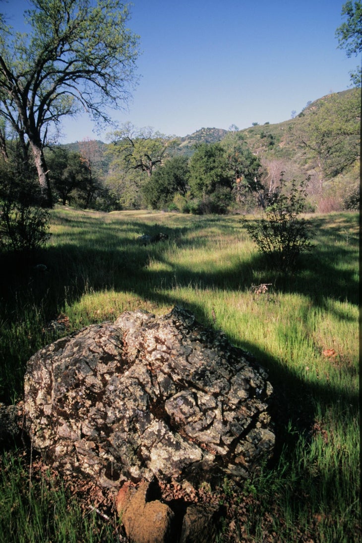 ChuckGraham_DavyBrownTrail_IMG_0459.jpg None