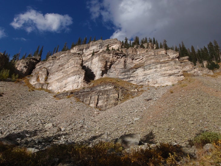 Cliff side and talus None