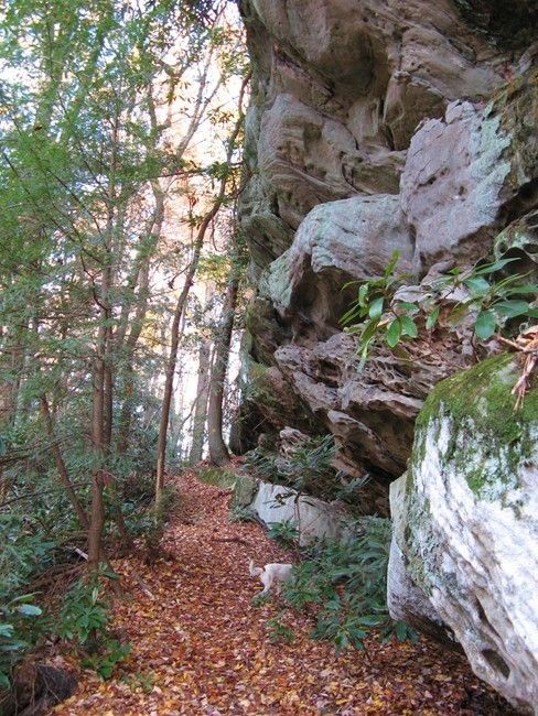 Cliff Trail None