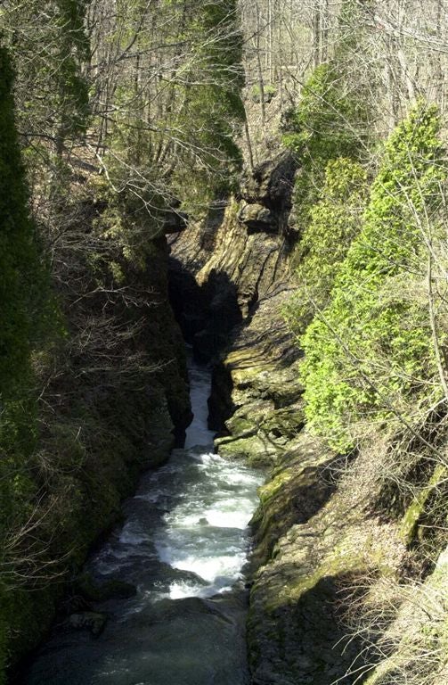 Clifton Gorge None