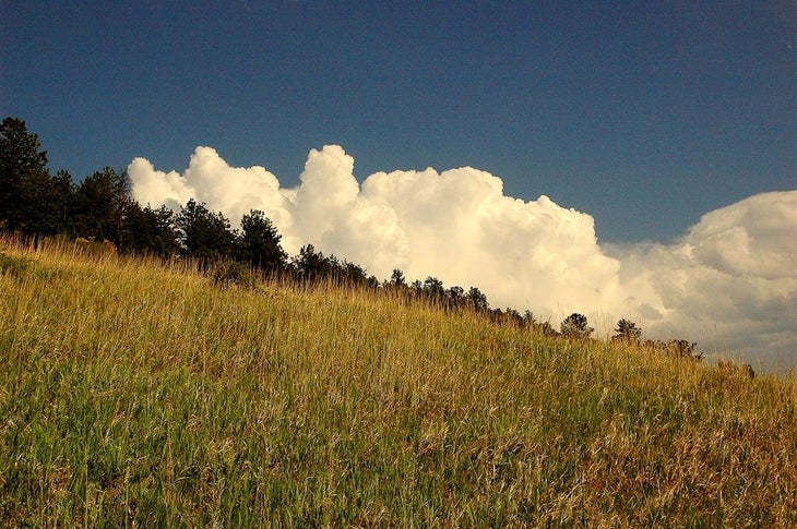 Clouds rising over Dinosaur Park None