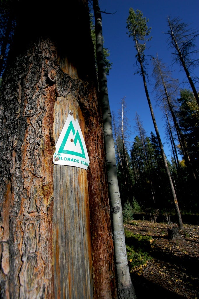 Colorado Trail Marker None