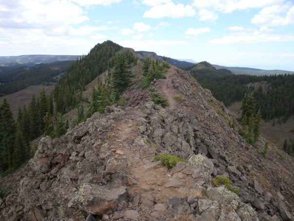 Crags Crest Trail None