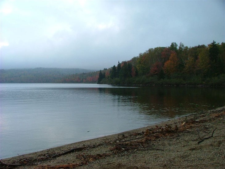 Crawford Pond None