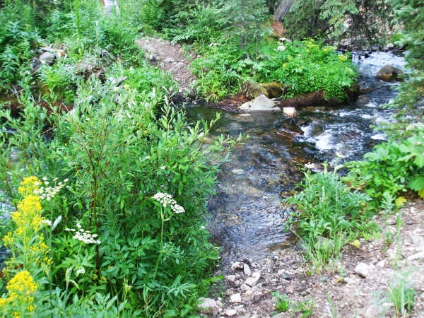 Creek None