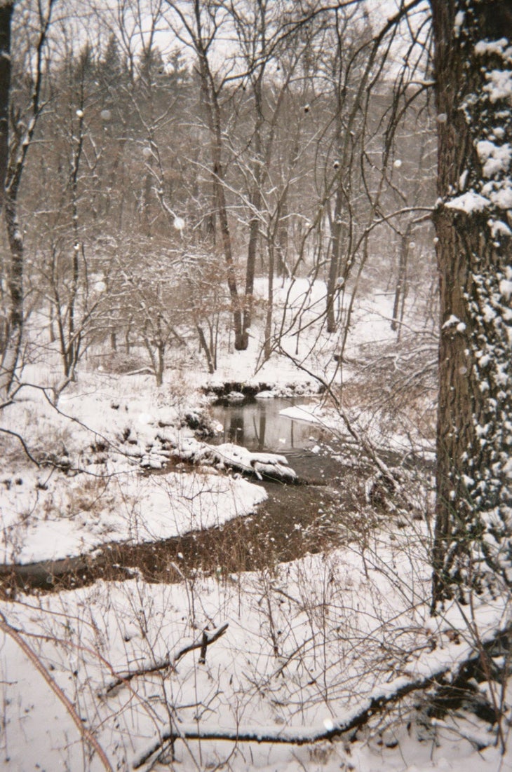 Creek Crossing None