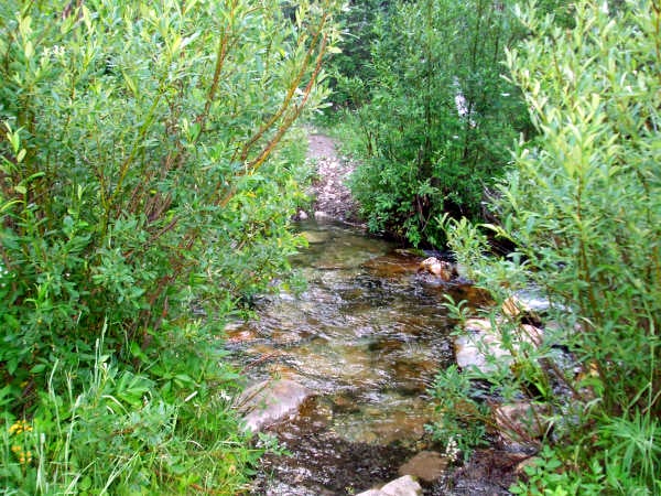 Creek Crossing None