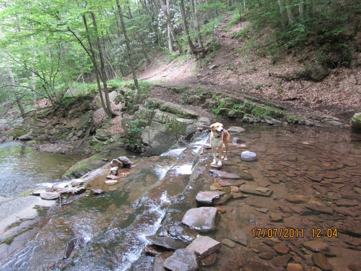 Crossing Seneca Creek None
