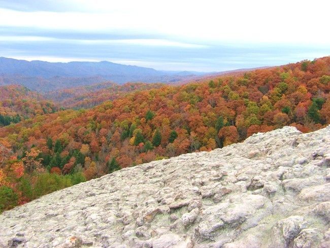 Cumberland River Valley None