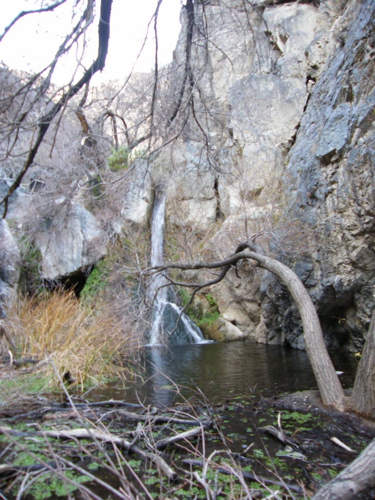 Darwin Falls. None