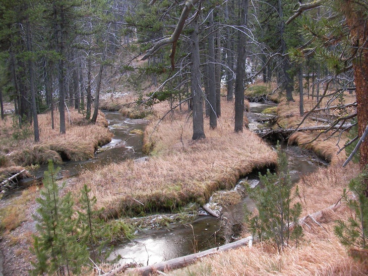 DeLacy Creek None