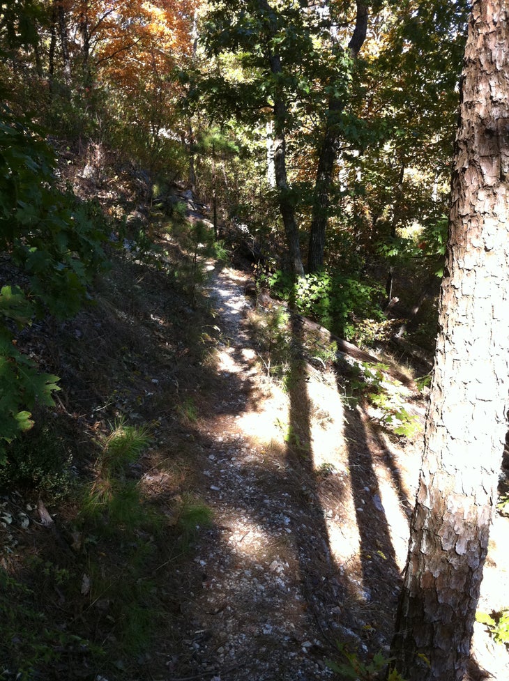 Descent None