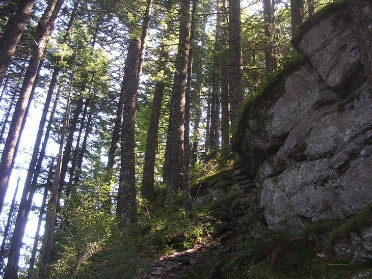 Devil's Backbone Ridgeline None