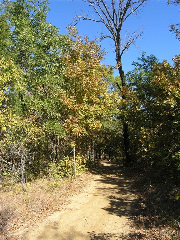 Dirt track None