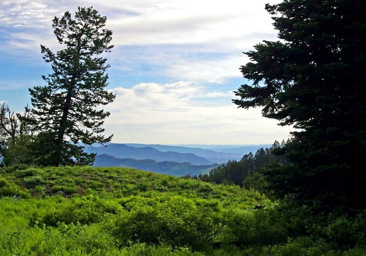 Distant Ridgelines None