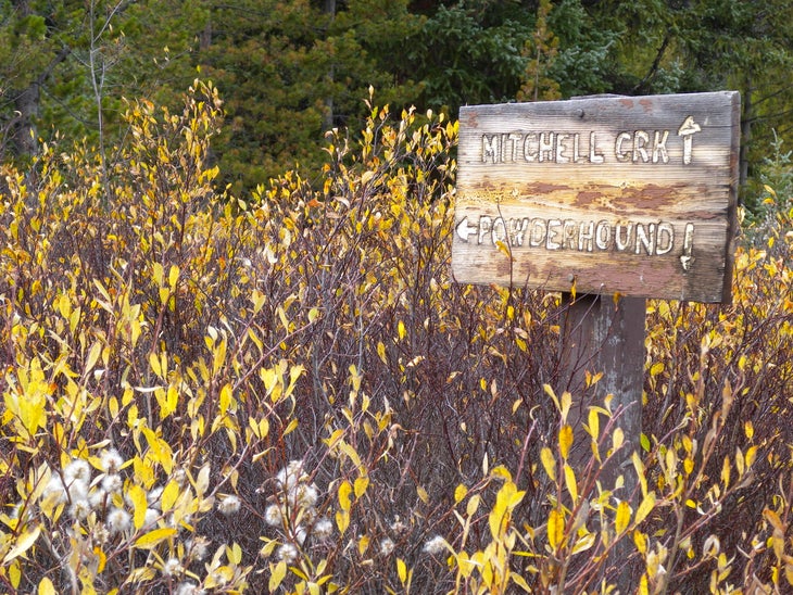 DSCN3368.jpg None
