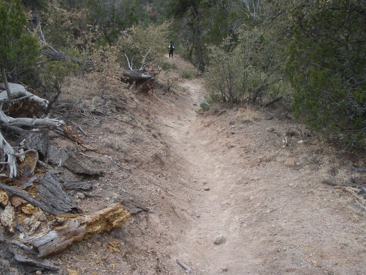 Dusty Trail None