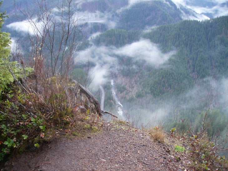 Elk climb - pic None