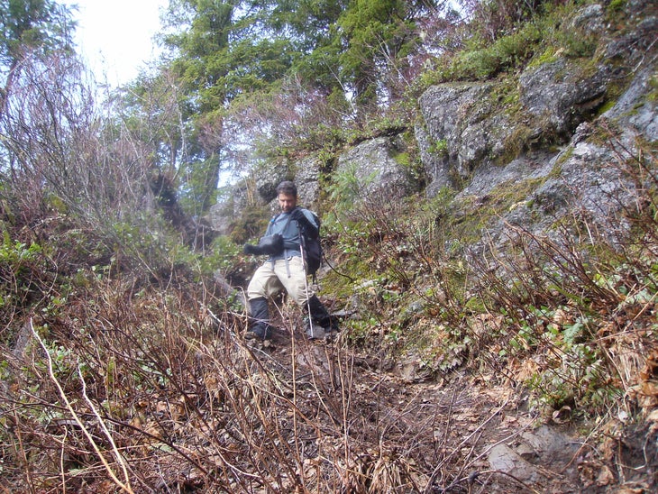 Elk to Kings Mt trail - pic None