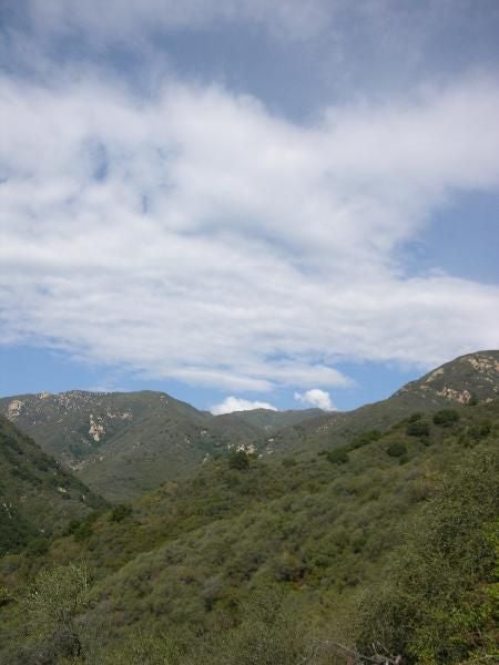 Emerald Slopes and Azure Skies None
