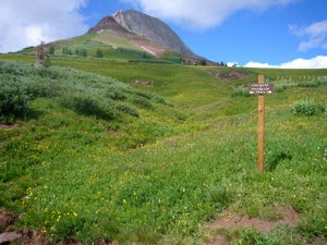Engineer Mountain Trail None