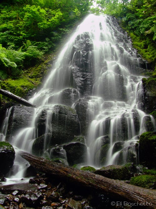 Fairy Falls None