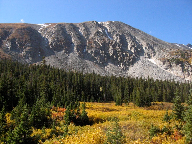 Fall Colors None