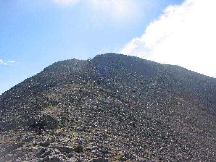 False Summit None