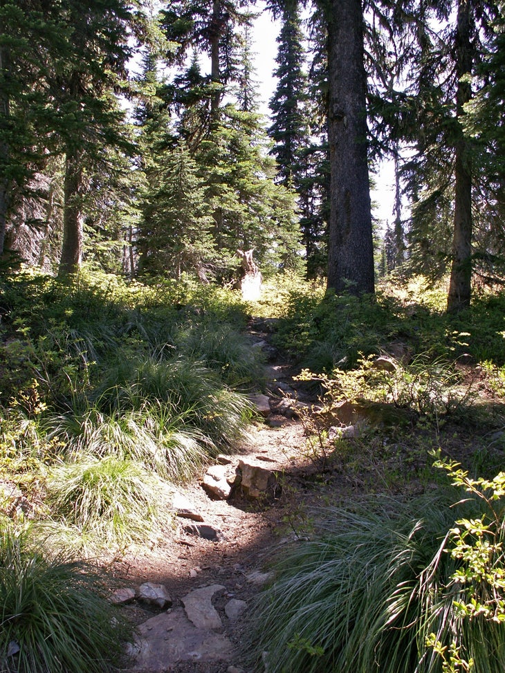 Final Hill None