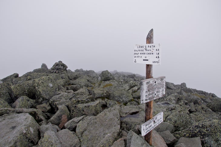 Foggy View from Mt. Adams None