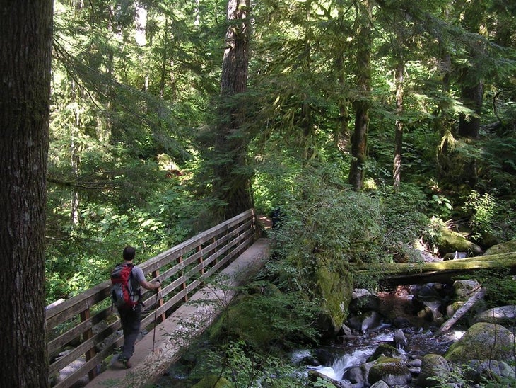 Footbridge: Oneonta Creek None