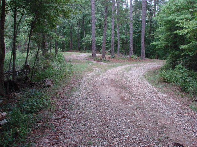 Forest Road None