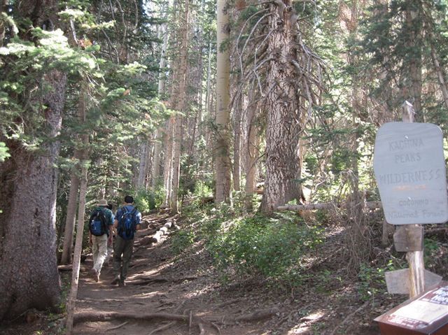 Fork in the trail None
