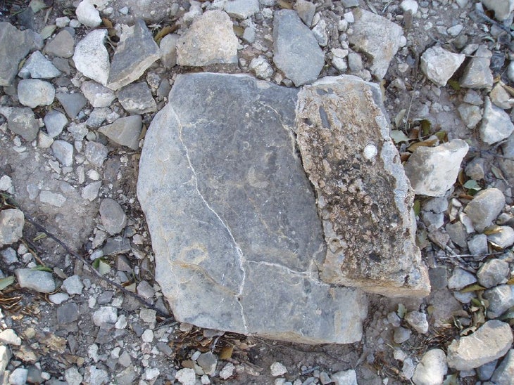 Fossil rock None