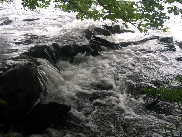 French Broad rapids None