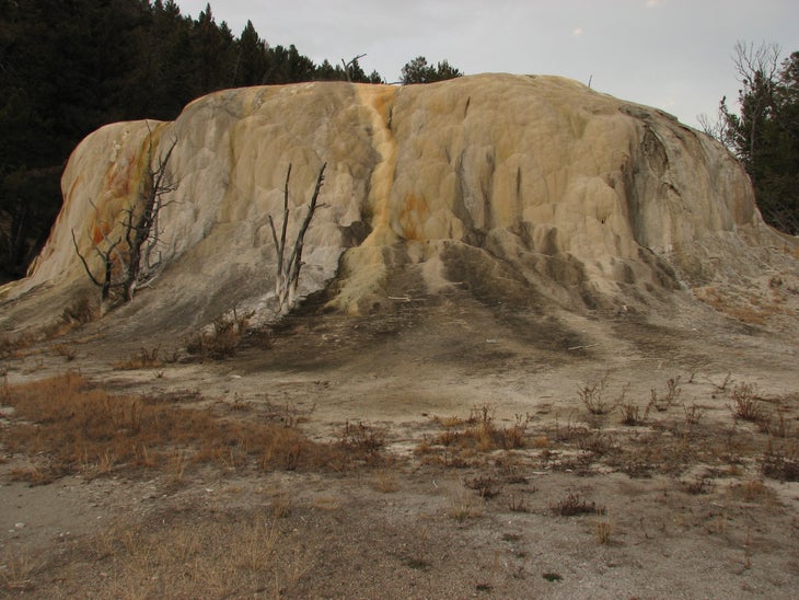 Front View of Orange Spring Mound None