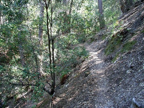 Gabrielino Trail None