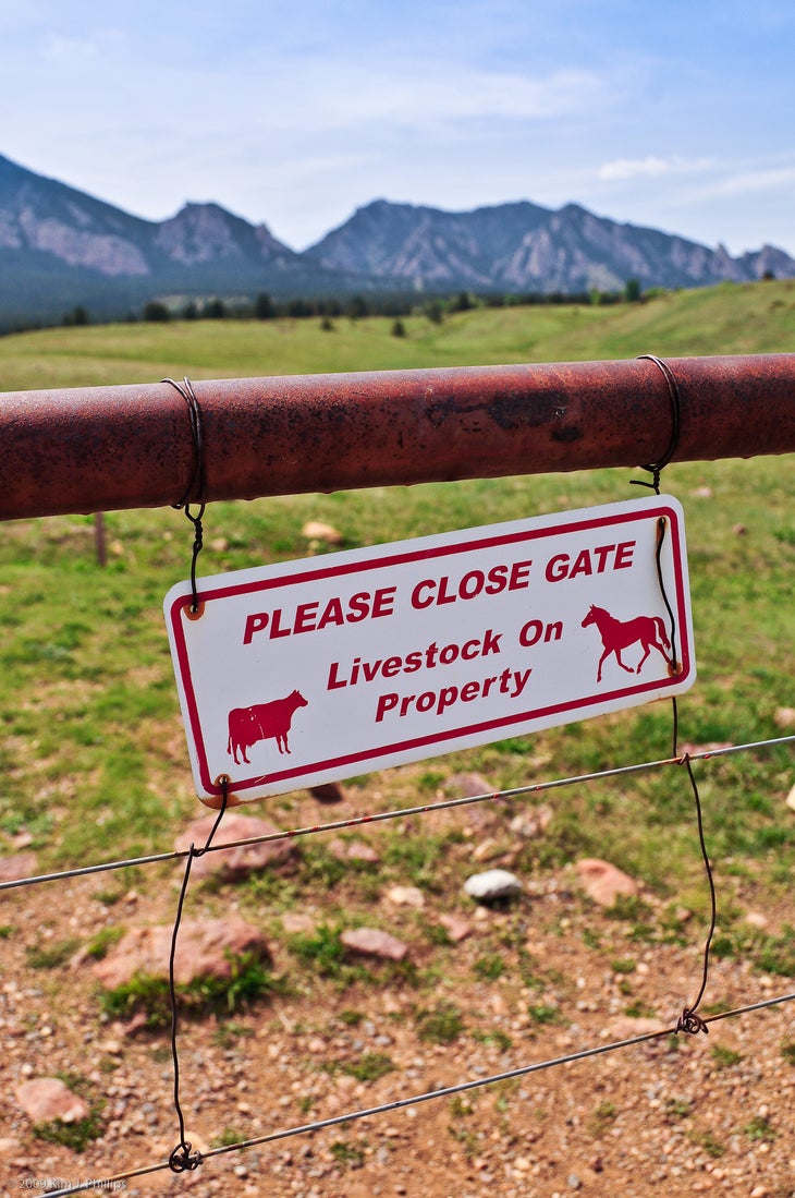 Gate None