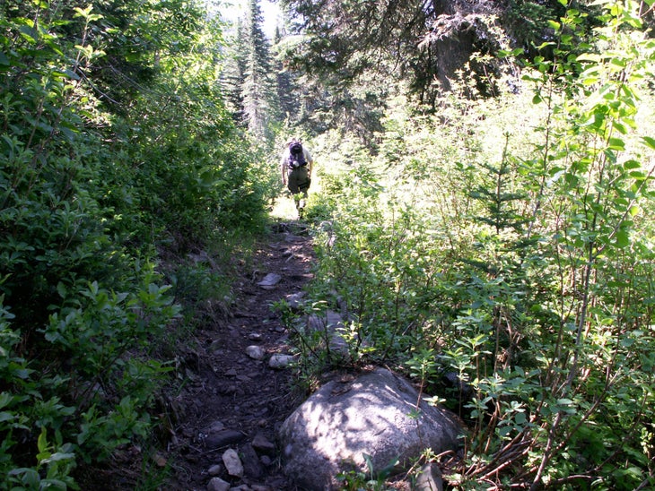Gem Lake Trail None