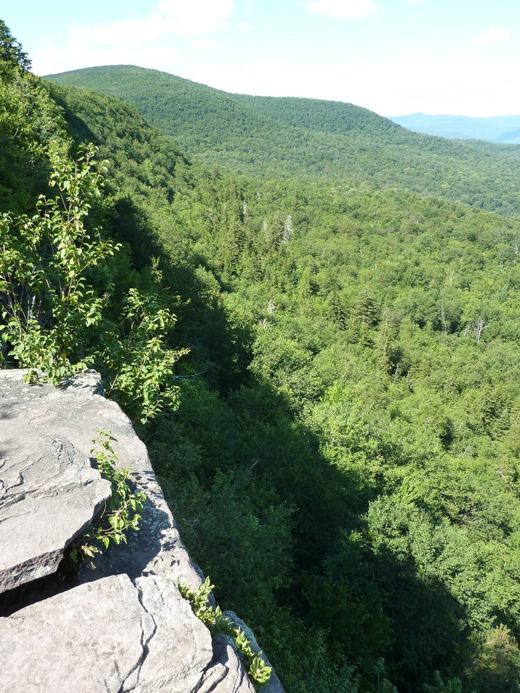 Giant Ledges None