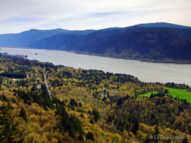 Gorge View None