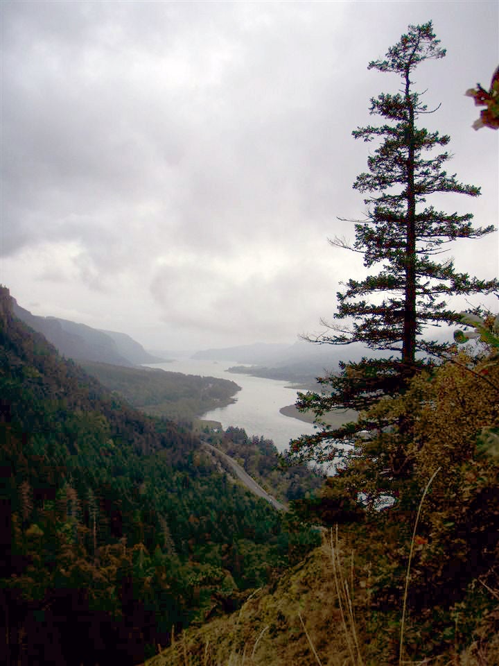 Gorge Views None