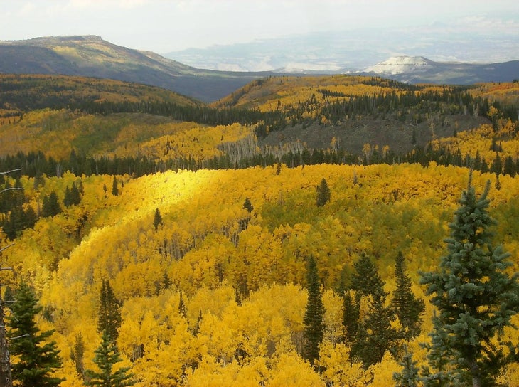 grand mesa None