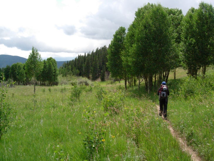 Grassy Meadows None