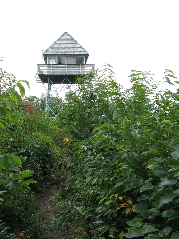 Green Knob Fire Tower None